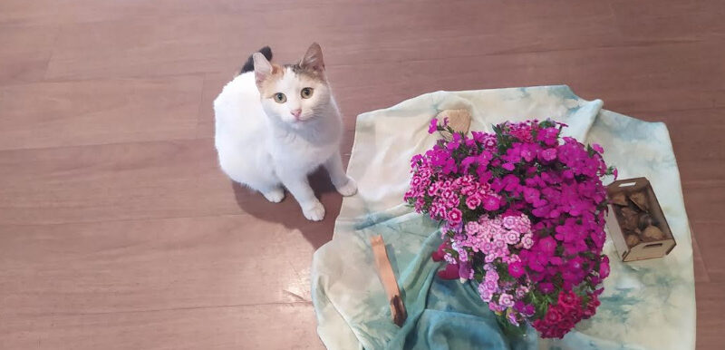 25